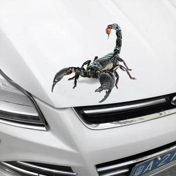 Araba Sticker 3D Örümcek Kertenkele Akrep Araba Moto Çıkartmalar Hayvan Desen Araç Pencere Ayna Tampon Çıkartması Dekor Araba Aksesuarları