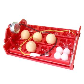 Kuluçka Dönüş Yumurta Tepsisi 12 Yumurta / 48 Kuş Yumurtaları 220V / 110V / 12V Tavuk Kuş otomatik kuluçka makinesi DIY Kuluçka Aksesuarları